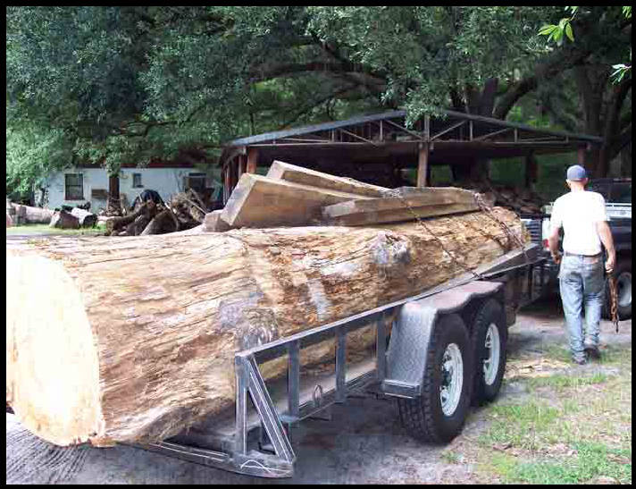 moving logs